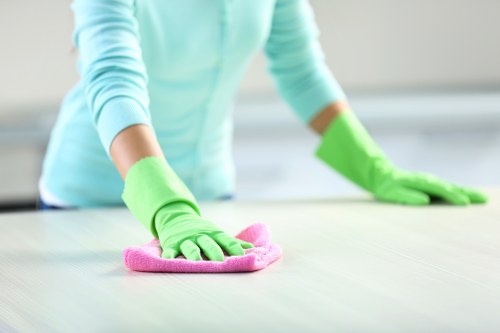 Deep pet odour extraction treatment for carpeted floors in Arkley