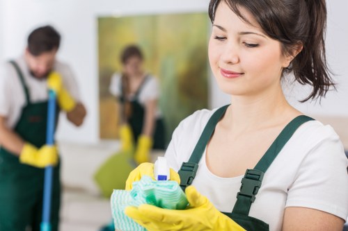Commercial carpet care and stain removal in Arkley