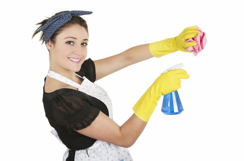 Professional steam carpet cleaning service in Arkley