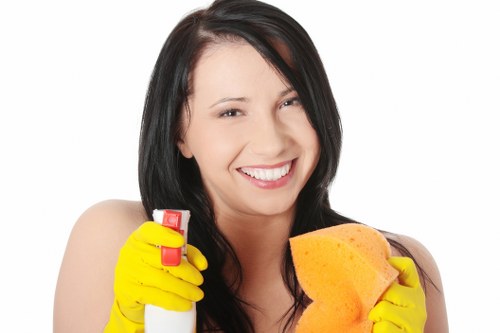 Discussing a carpet cleaning resolution in a professional setting