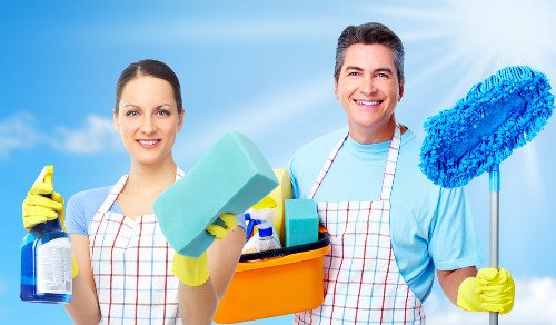 Targeted pet stain odour removal for hardwood and fabric surfaces