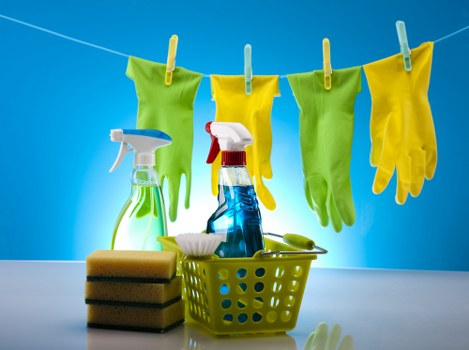 Reviewing carpet cleaning complaint details and service records